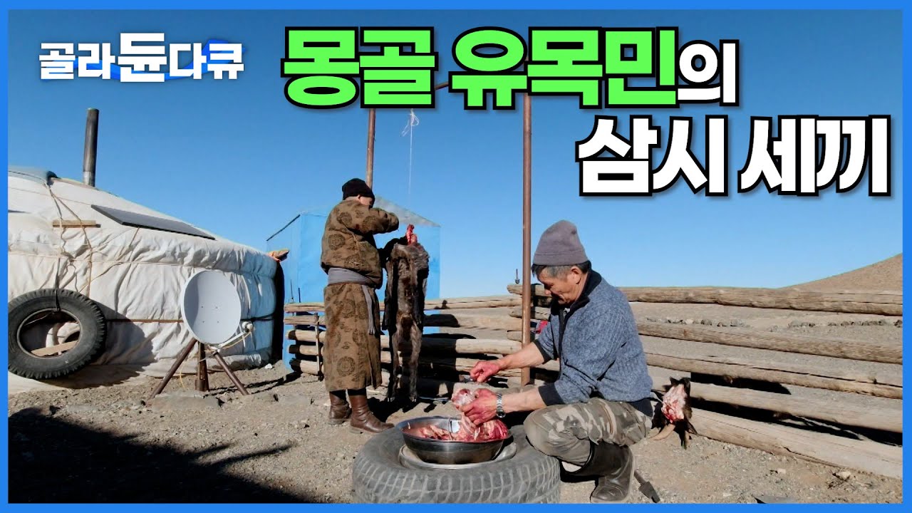 비가 오지 않는 황무지, 몽골 고비 사막 유목민들은 어떻게 살아갈까?│쿠킹포유│#골라듄다큐