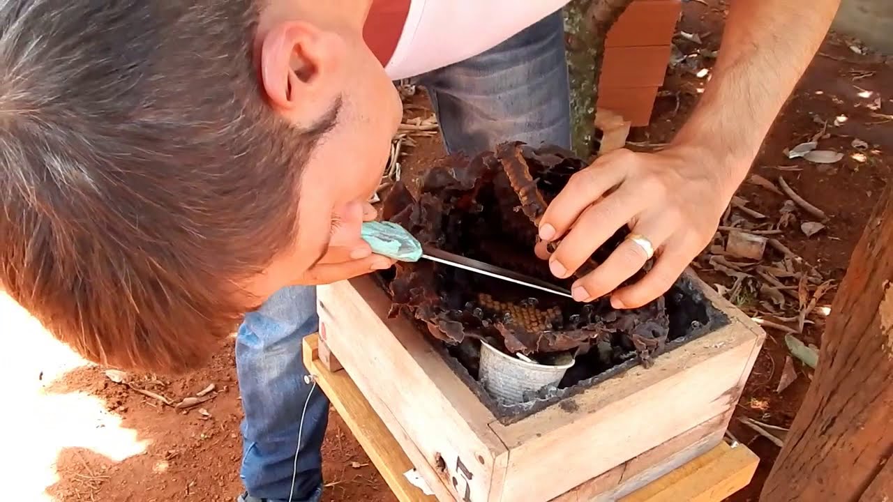 divisão de TIUBA por MODULO