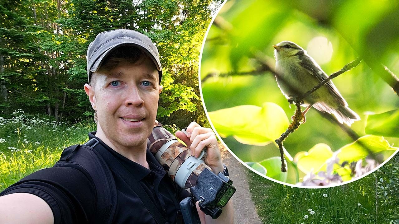 The Magic of Finnish Nature in early Summer | POV nature photography