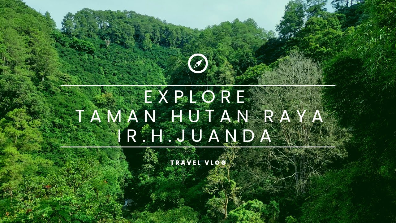 KONDISI TERKINI TAMAN HUTAN RAYA IR.H.DJUANDA | TAHURA DJUANDA | WISATA ALAM DAN WISATA EDUKASI