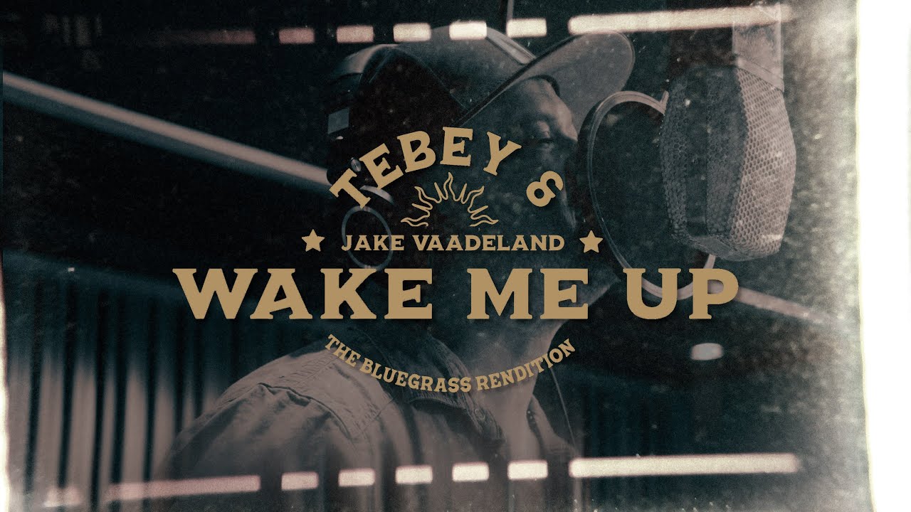 Wake Me Up (The Bluegrass Rendition) Tebey & Jake Vaadeland and the Sturgeon River Boys