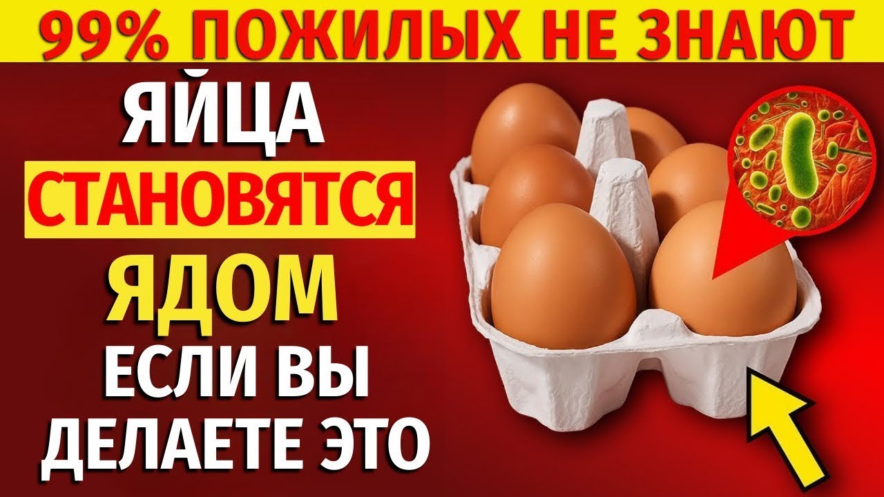 Почему яйца вредят пожилым? Только если вы делаете эти 5 ошибок