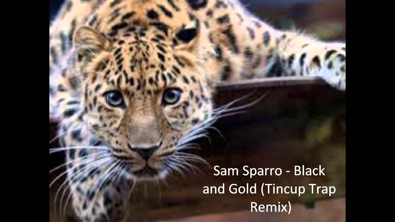 Sam Sparro - Black and Gold (Tincup Trap Remix)
