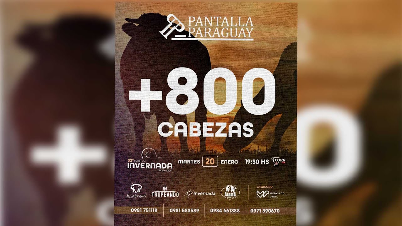 EN VIVO |  Feria de Invernada televisada • Pantalla Paraguay