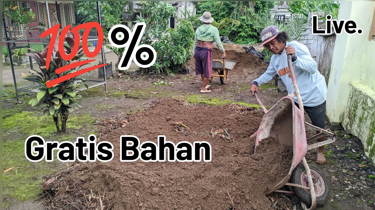 BIBIT ALPUKAT TUMBUH CEPAT KOKOH! LIVE RACIK MEDIA SEMAI RAHASIA PETANI