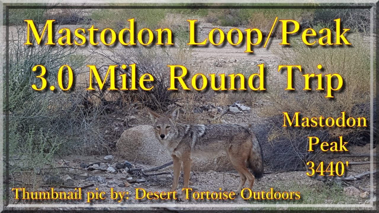 Hiking Mastodon loop peak Joshua tree national park