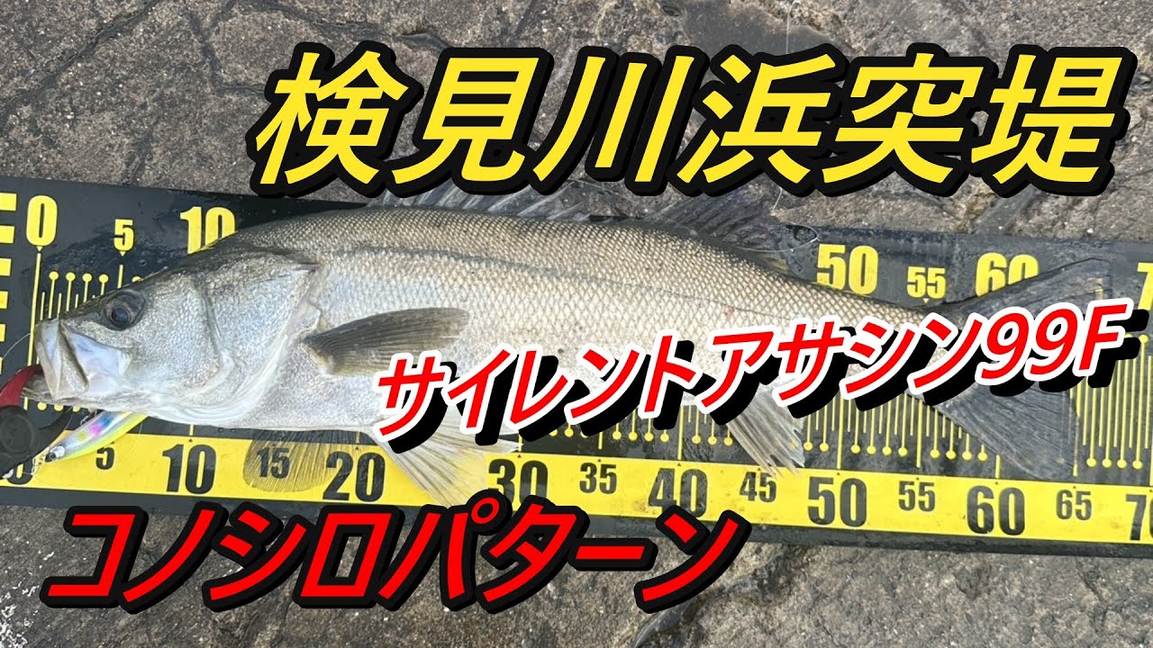 【検見川浜突堤　デイシーバス】ぶっとい魚体出た❗️❗️