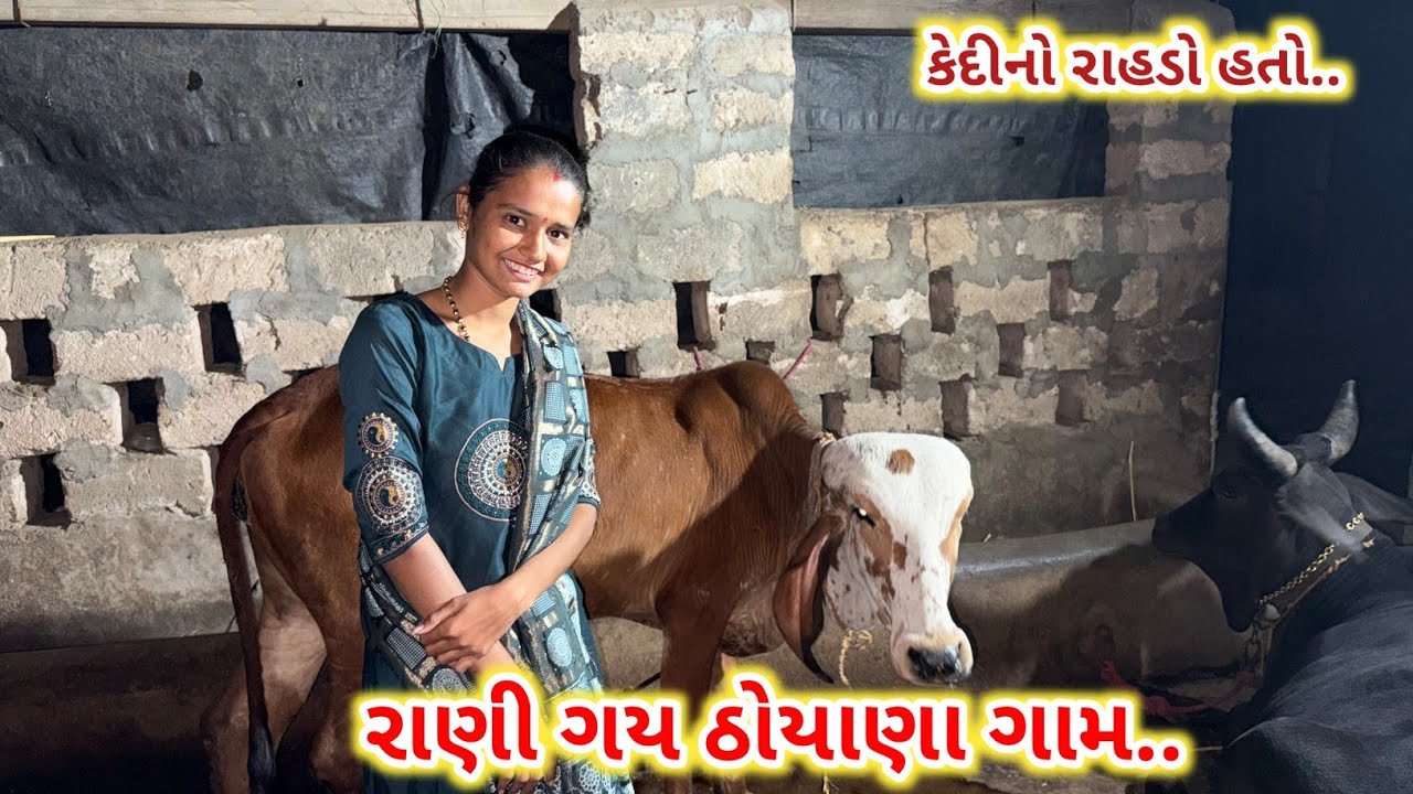રાણી ગય ઠોયાણા ગામ | કેદીનો રાહડો હતો | Khodal Gir Gaushala | Thoyana Village | Daily Vlog 