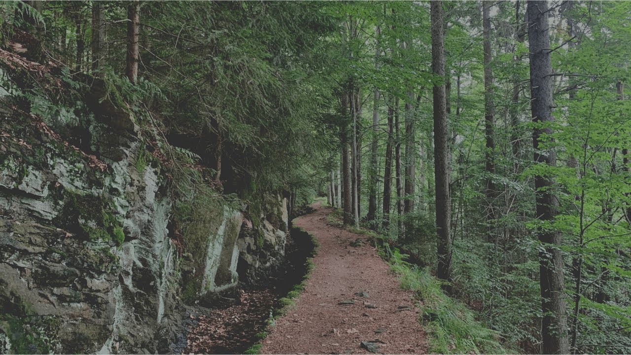 🥾 Schwarze Pockau |&nbsp;Gr&uuml;ner Graben | Katzenstein im Schwarzwassertal (Erzgebirge)