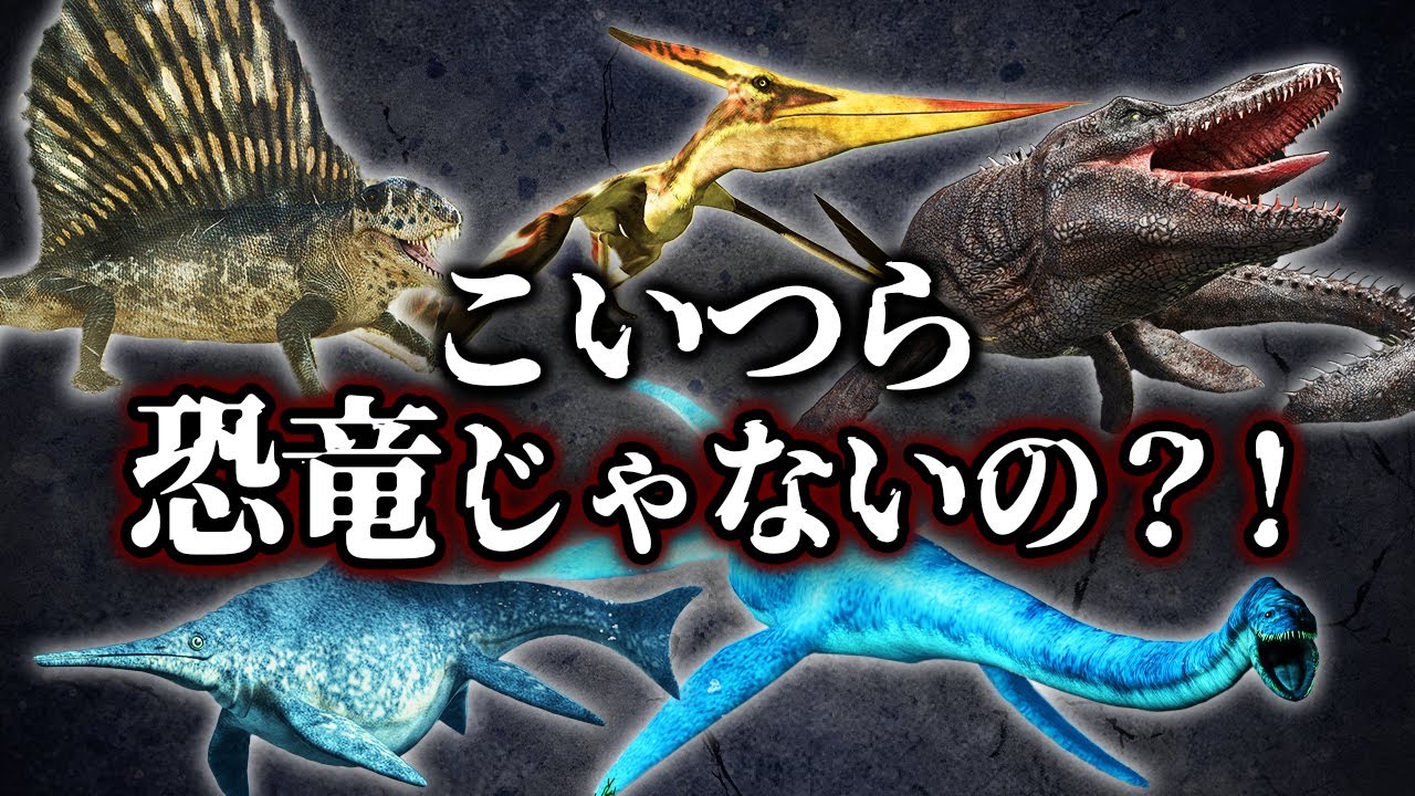 【ゆっくり解説】実は恐竜ではありません。恐竜と勘違いされがちな生物５選