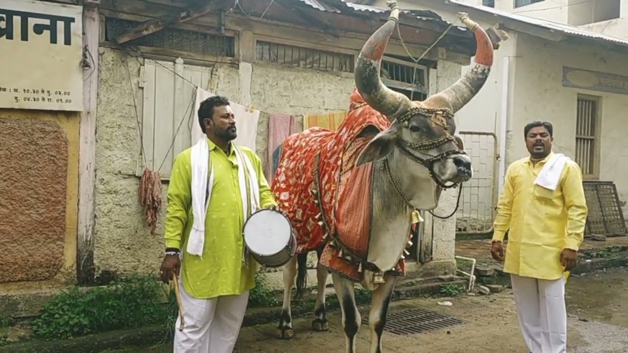 #नंदी बैल