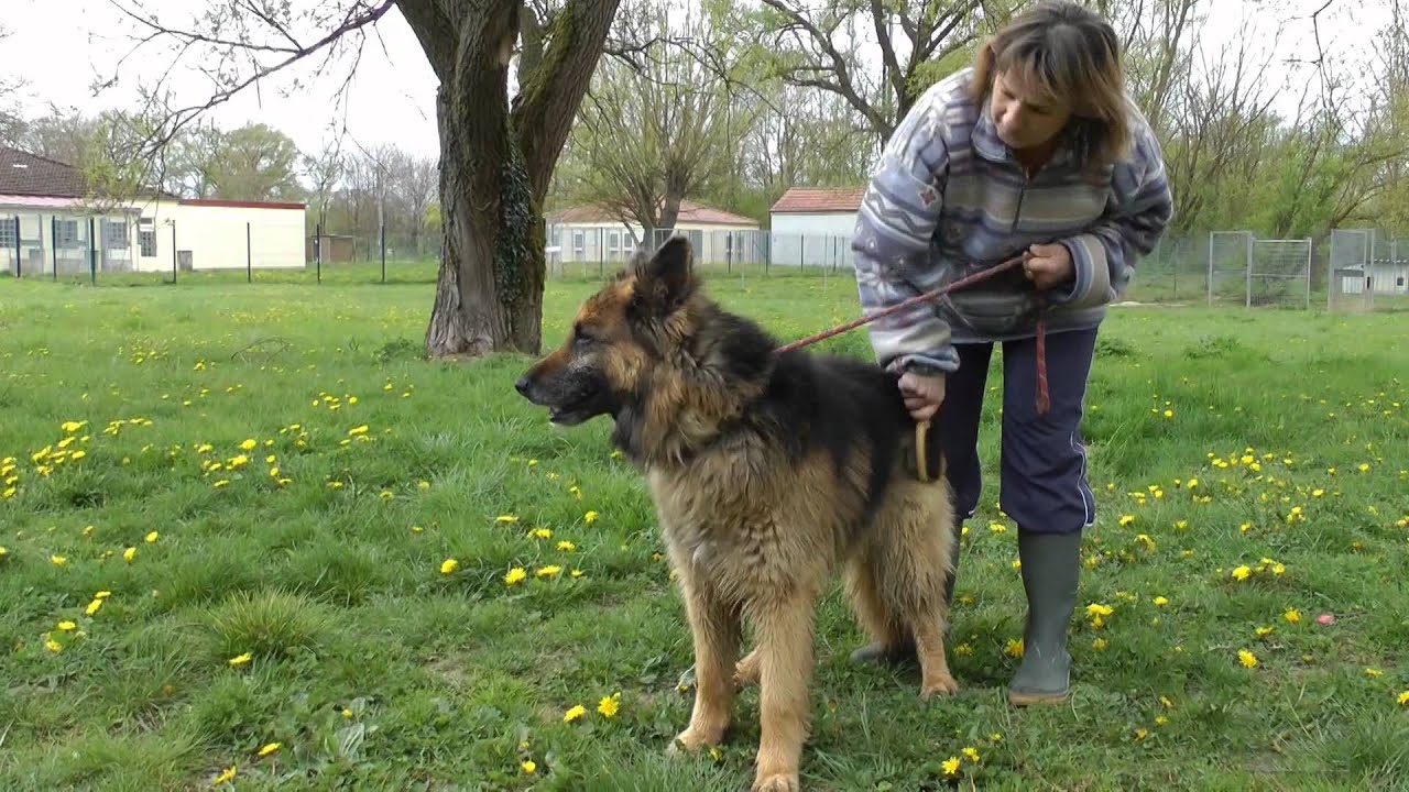Refuge de l'Etang Bleu - Thierville sur Meuse
