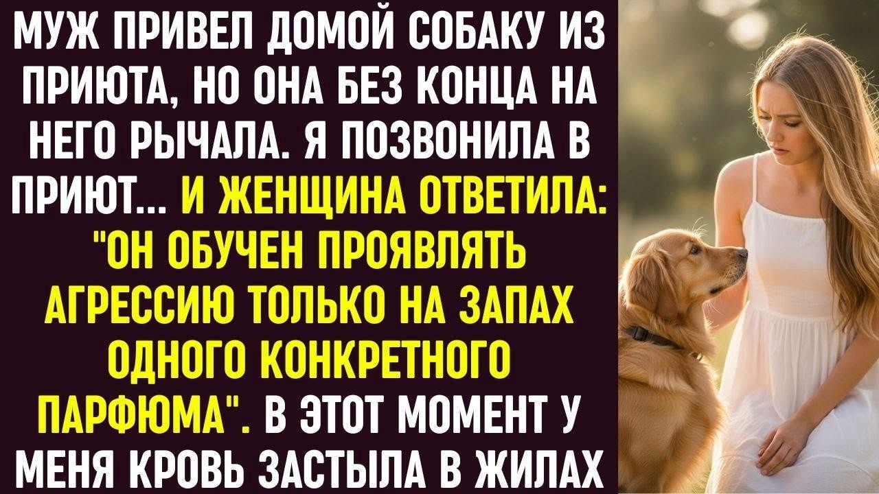 Муж принёс собаку из приюта, но она рычала на него… Ответ сотрудницы про парфюм меня потряс...