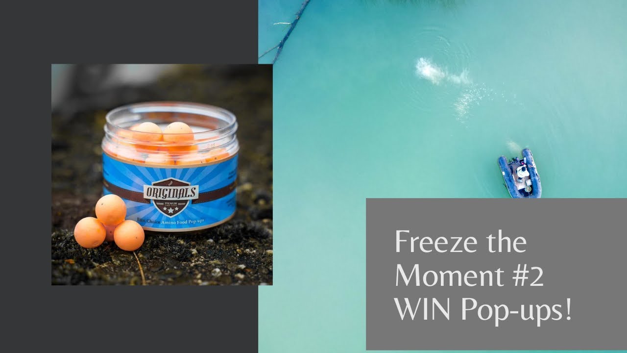 Freeze the Moment #2 met GIVE AWAY!