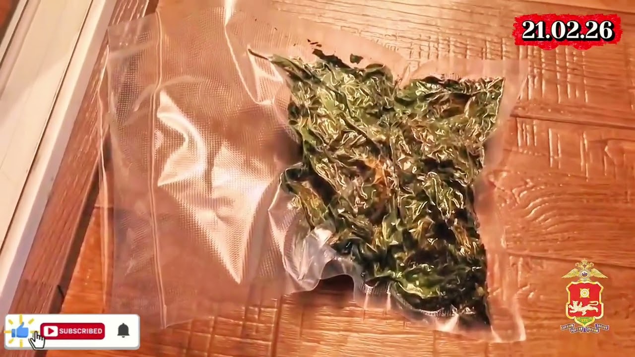 Наркоагроном из Хакасии, подаривший другу на день рождения марихуану, стал фигурантом уголов. дела