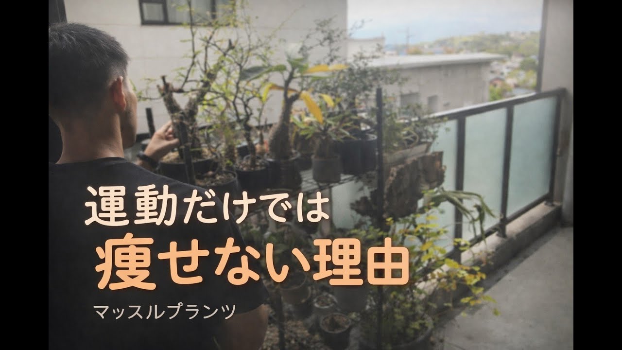 「体脂肪を落とし続ける人の“食事習慣と思考”｜運動では痩せない理由」