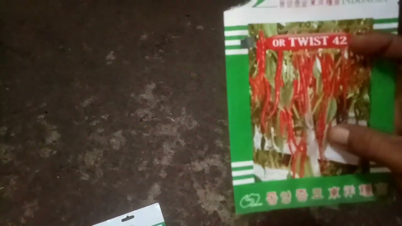 Banyak Tiruannya| OR Twist 42 Cara Membedakan Asli atau Palsu 2026| Cabe keriting OR Twist 42