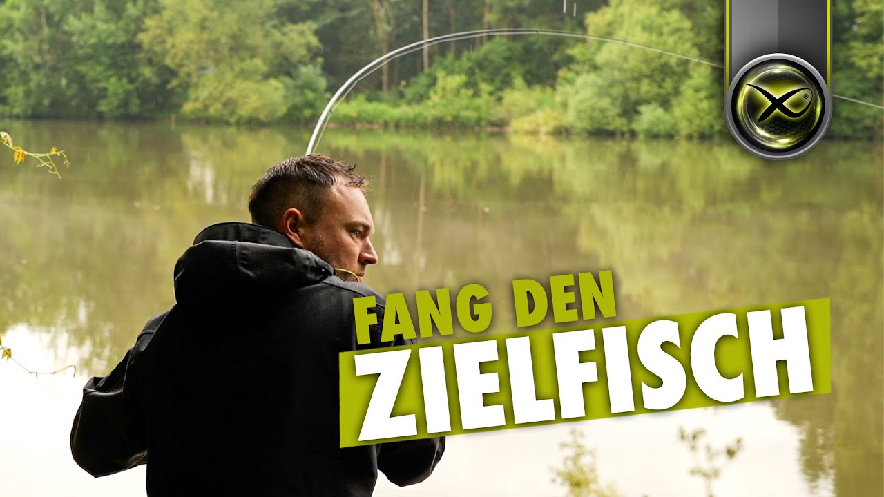 FANG DEN ZIELFISCH - #1 Rotauge Brasse & Döbel