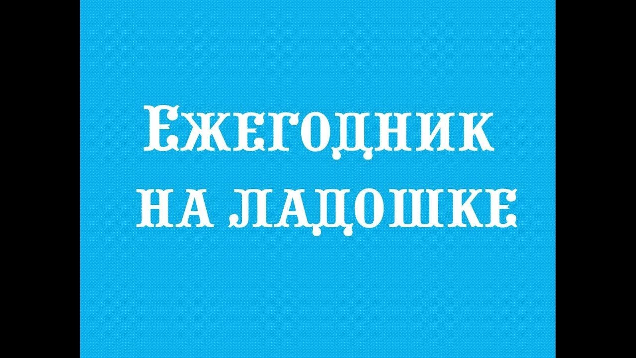 Мой ежегодник || Весь год на ладошке || Минимализм