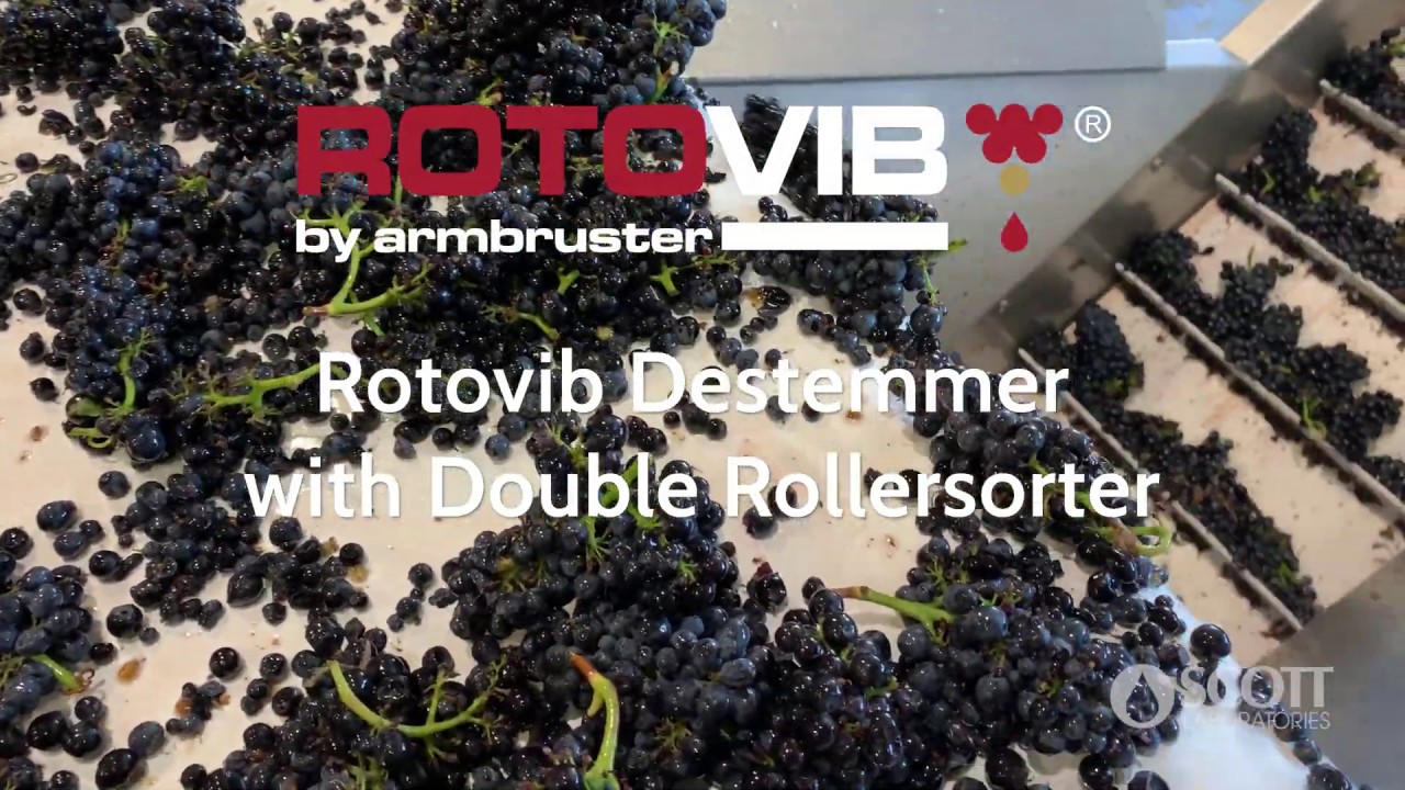 Armbruster Rotovib Destemmer with Double Rollersorter