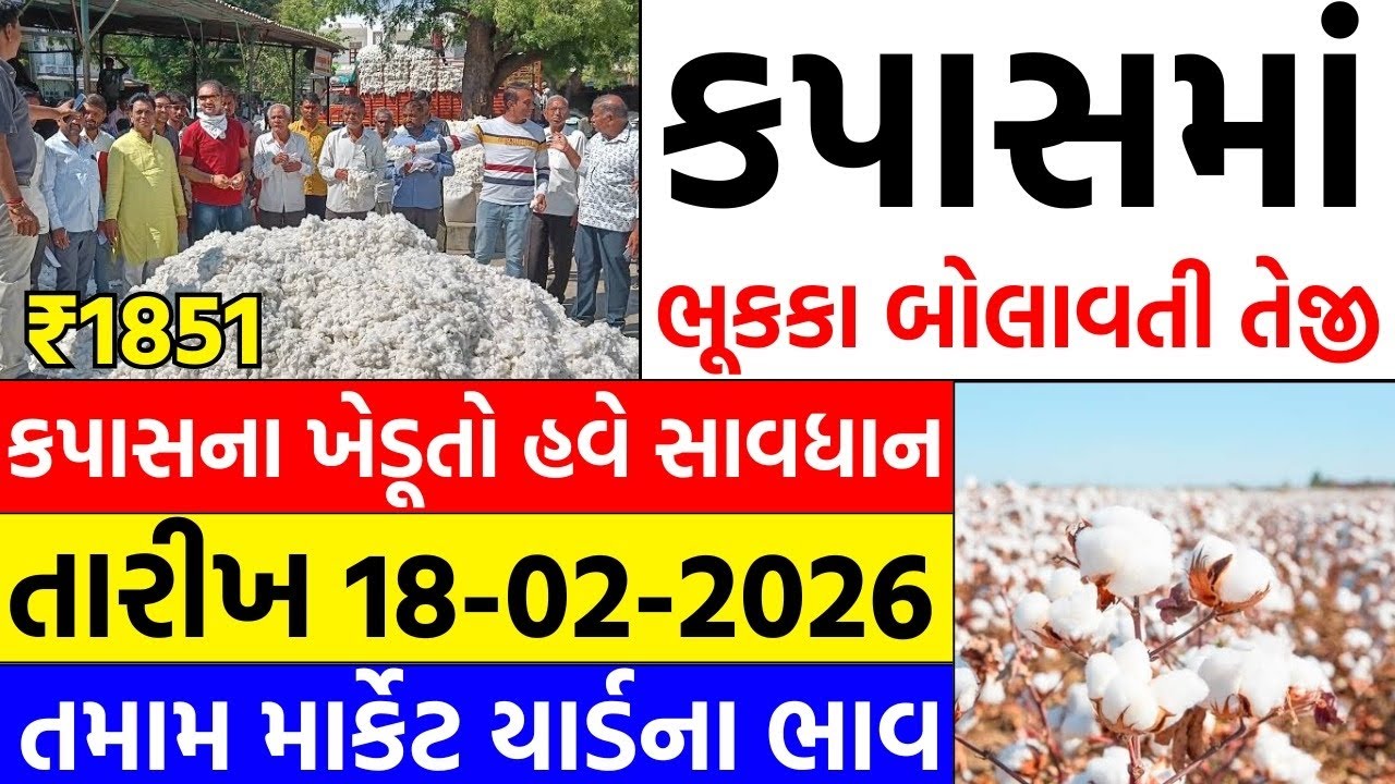 Kapas na bhav | 18-02-2026 | કપાસના ભાવ:2026 | Information about Cotton Crop Price | Commodity trend