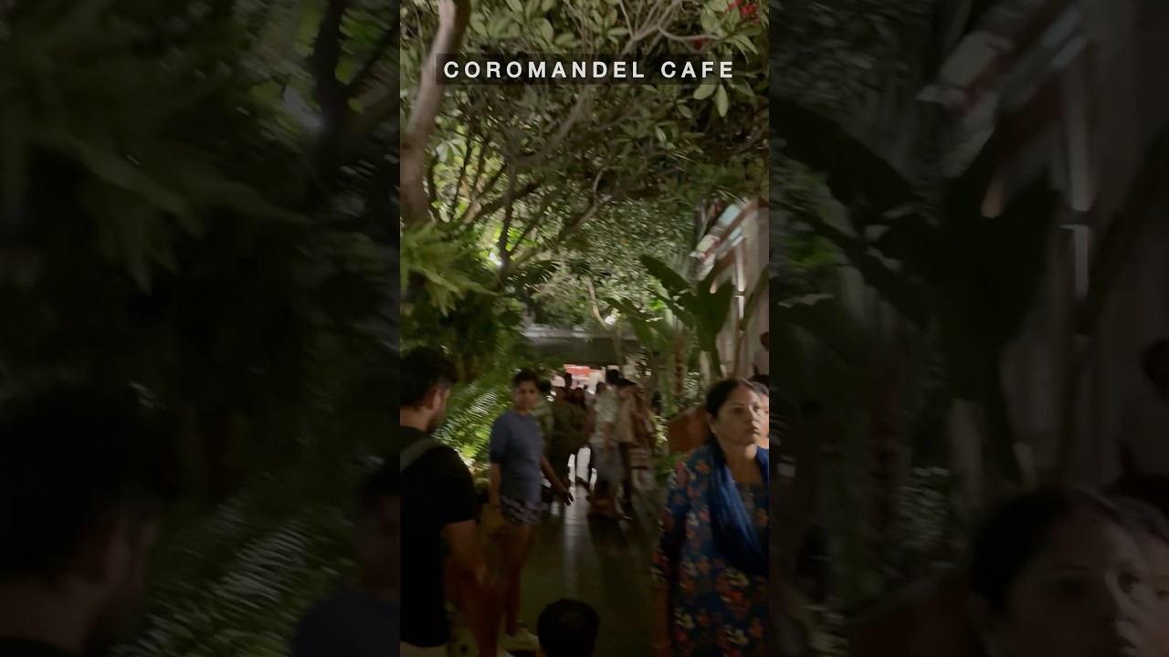 Best Cafe in Pondicherry ~ Coromandel Cafe #whitetown #frenchcolony #food #cafe #frenchcafe