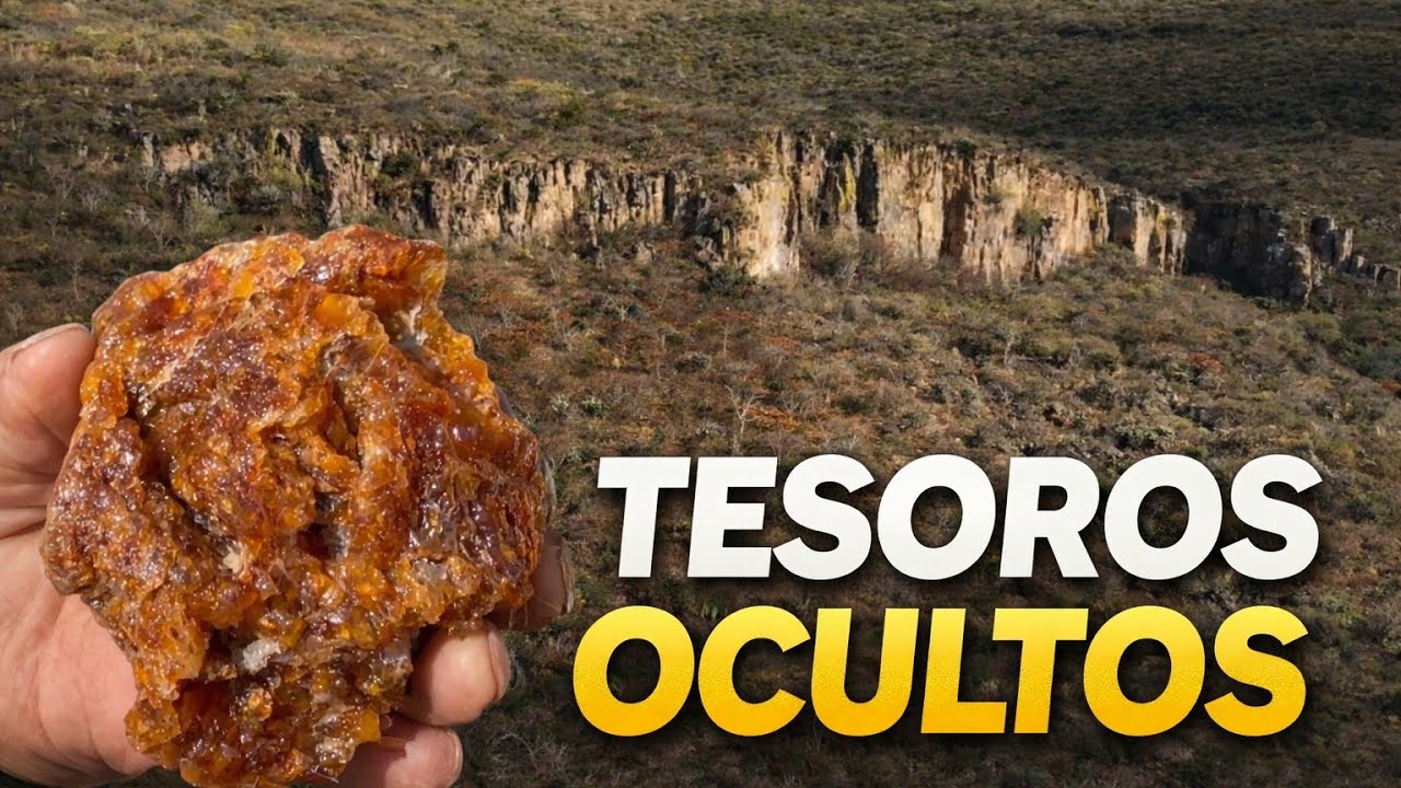 Tesoros  que Nadie Muestra | Ocultos en los Cerros de Zacatecas”