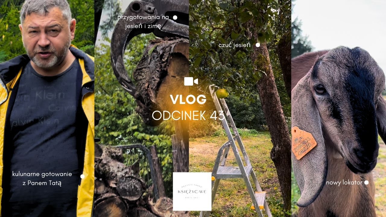 ODCINEK 43: NOWY LOKATOR NA SIEDLISKU | PODCINAMY KOPYTKA - WYŚCIGI Z KOZAMI | GOTOWANIE Z TATĄ 🐐🪵🌳