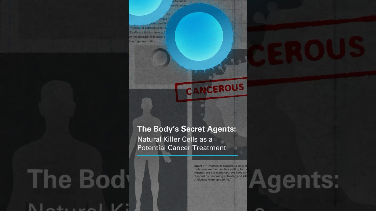 The Body’s Secret Agents: Natural Killer Cells as a Potential Cancer Treatment