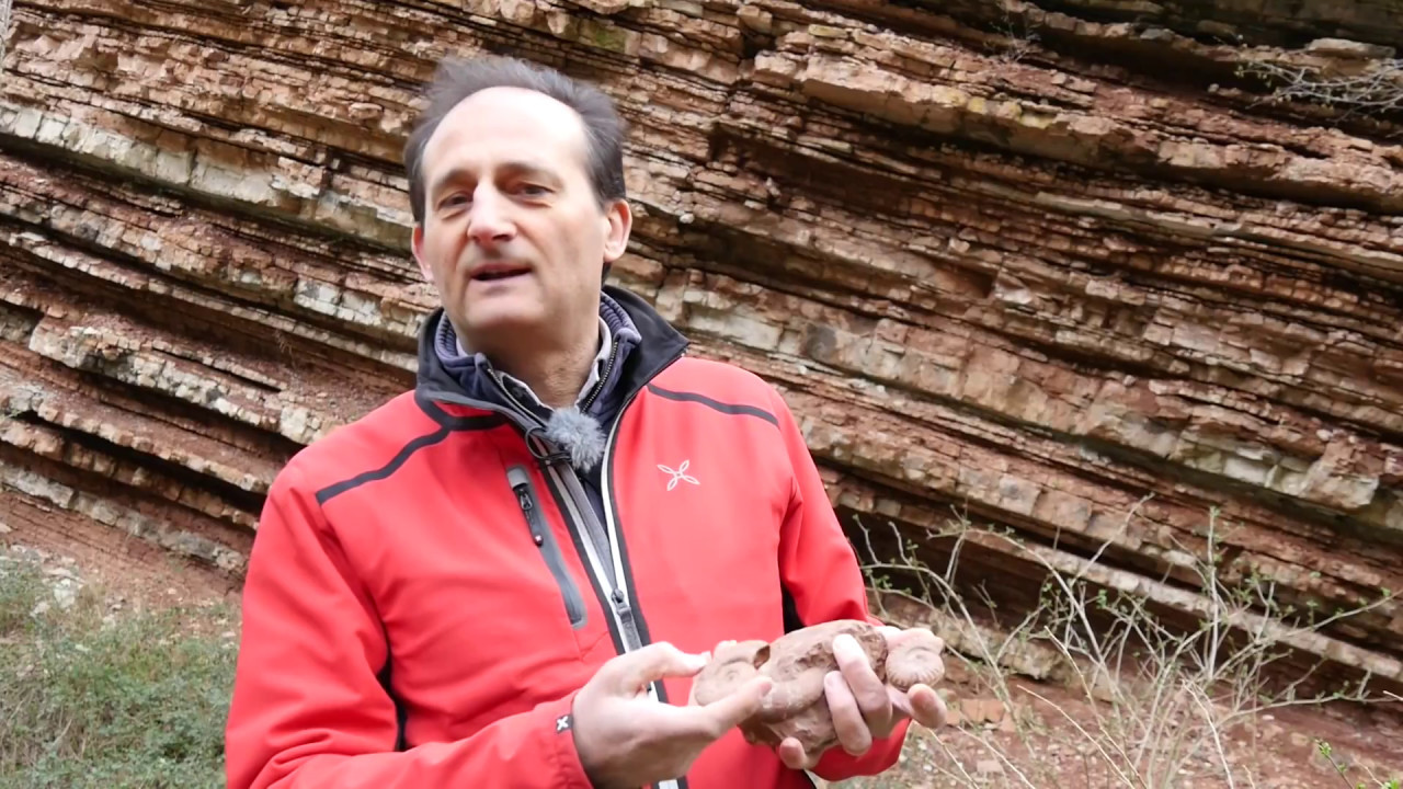 Dyna Story - L'Appenino: montagne di fossili