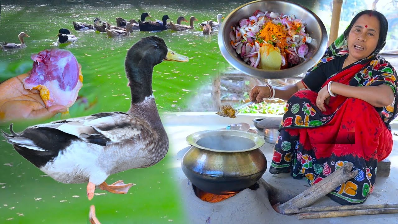 শীতের স্পেশাল গ্রামের সেরা দেশি তেলভরা পাতি হাঁসের মাংস হান্ডিতে রান্না | village special duck curry
