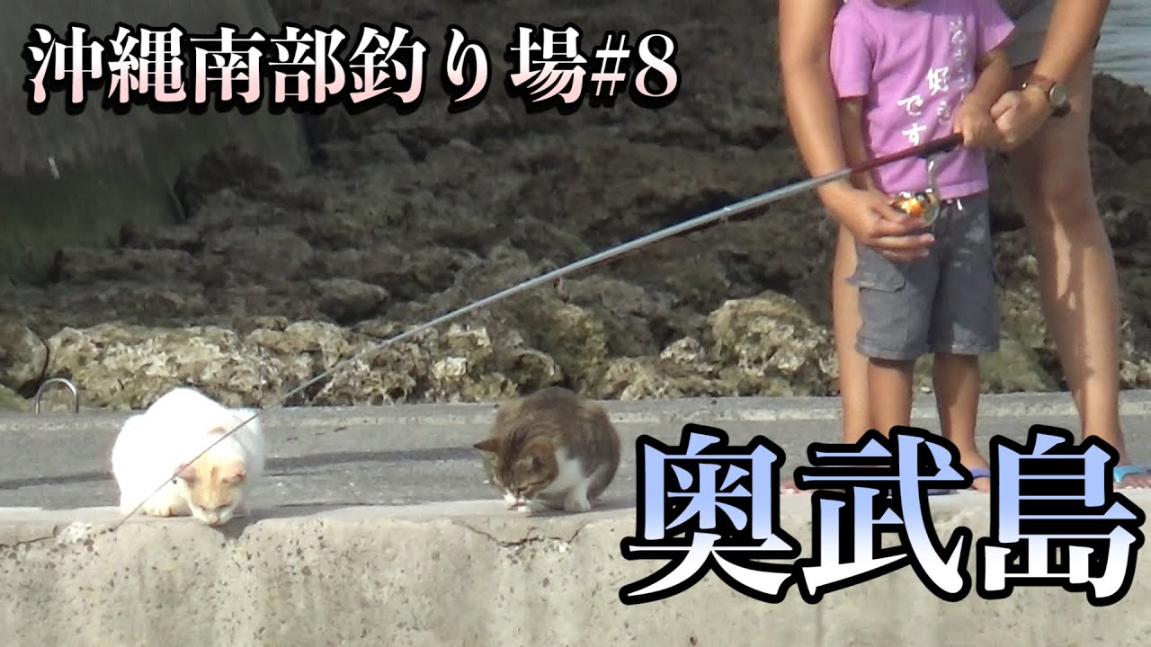 【沖縄】人気打ち込みフカセ釣り場ポイント奥武島【南部の釣り場】