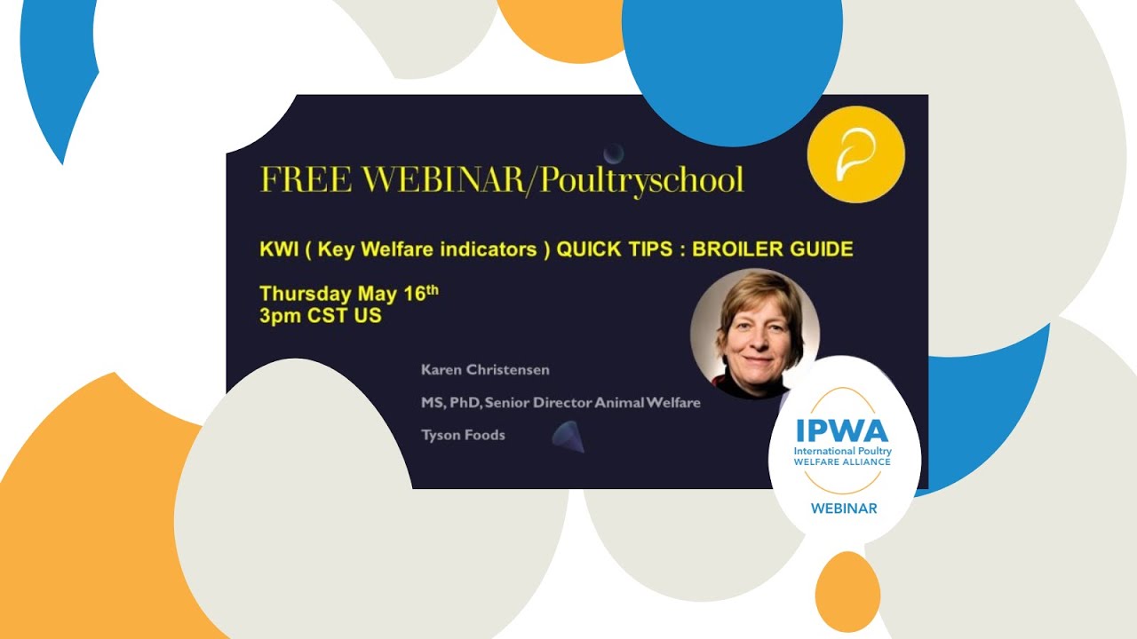 KWI Quick Tips: Key Welfare Indicator Guide for Broiler Chickens | IPWA Webinar