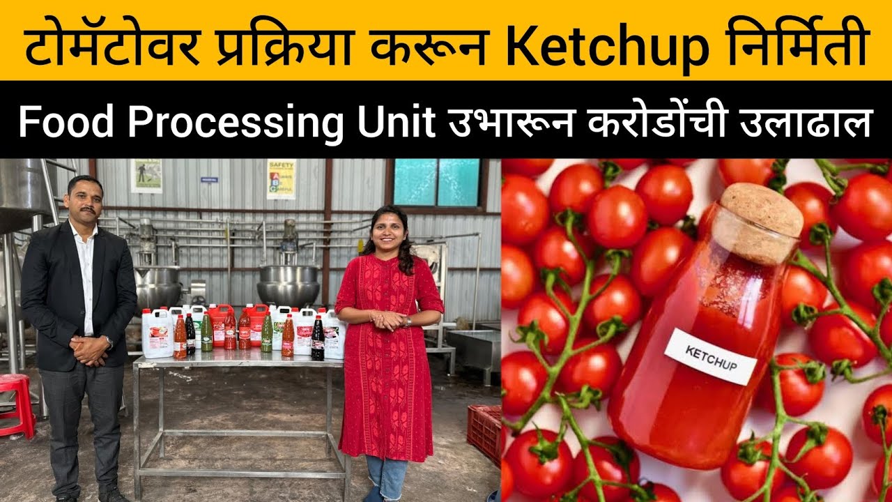 टोमॅटो प्रक्रिया उद्योग | How To Make Tomato Ketchup | टोमॅटो प्रोसेस युनिट | Narayangaon | Junnar