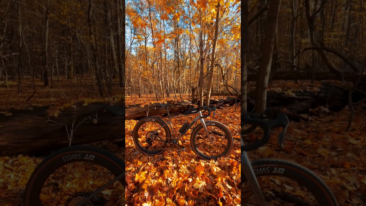 MERIDA Silex 7000 na sterydach 🤩 #velmar #gravelbike #meridabikes #shimanoservicecenter #dtswiss