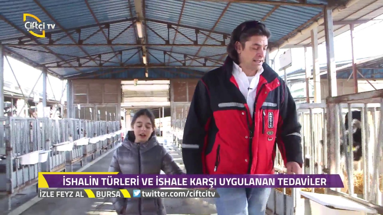 İzle Feyz Al - Buzağı İshali Nasıl Önlenir?
