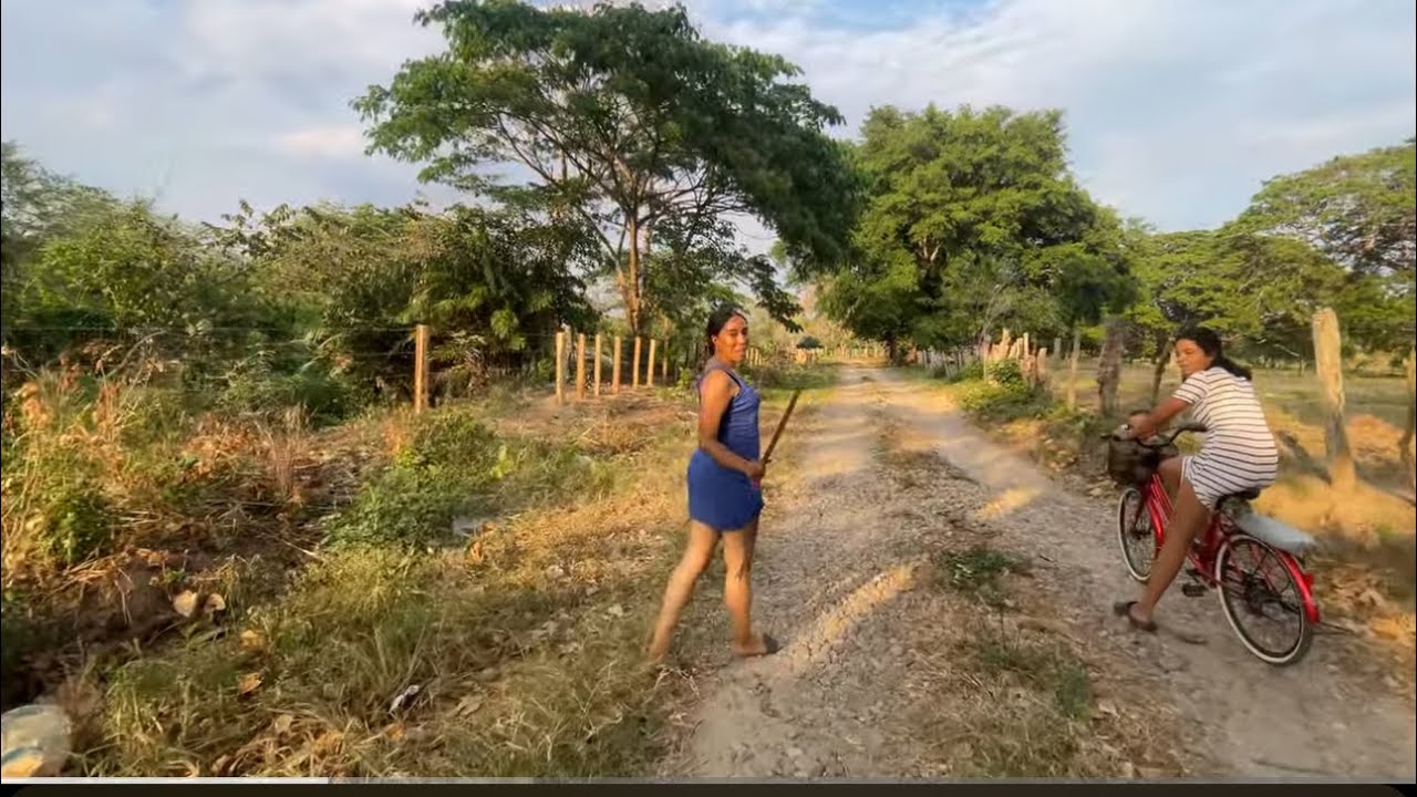 POR AQUÍ ANDAMOS MOSTRÁNDOLE UN POCO DE MI QUERIDO LLANO Y EN BUSCA DE LEÑA. 