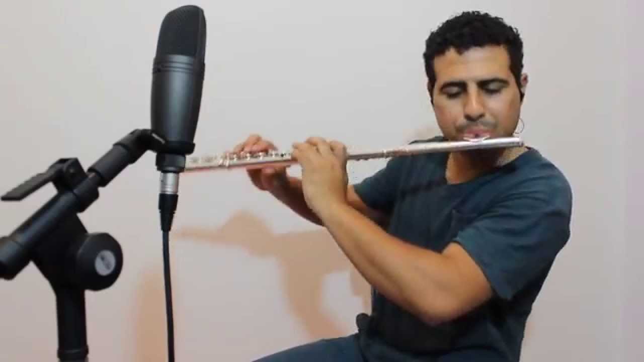 Toque no Altar - Deus de Promessas (solo de flauta transversal)