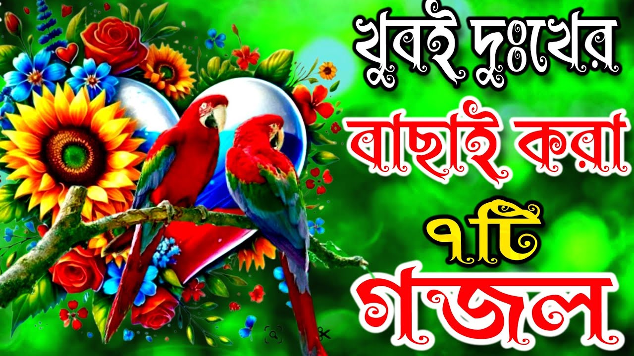 খুবই দুঃখের গজল, বাংলা মধুর কন্ঠের গজল bangla gazal, notun sera gojol modur kontyr gojol 