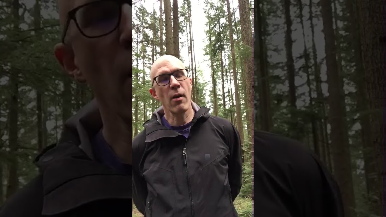 Andrew Boden reading Wallace Stevens, Dead Poets Reading Series, May 7, 2020