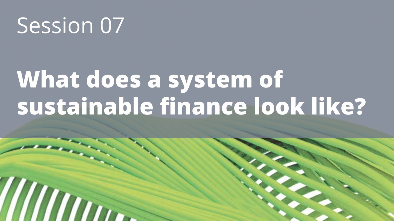 Digitainability WS2021/2022 at HfP - What could a system of sustainable finance look like?