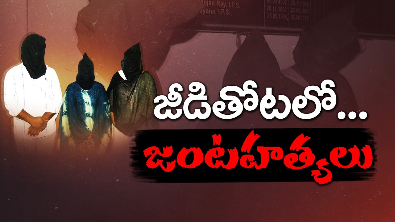 Eluru Woman Learned Murder Plan on YouTube? Shocking Crime Revealed || Neralu-Ghoralu
