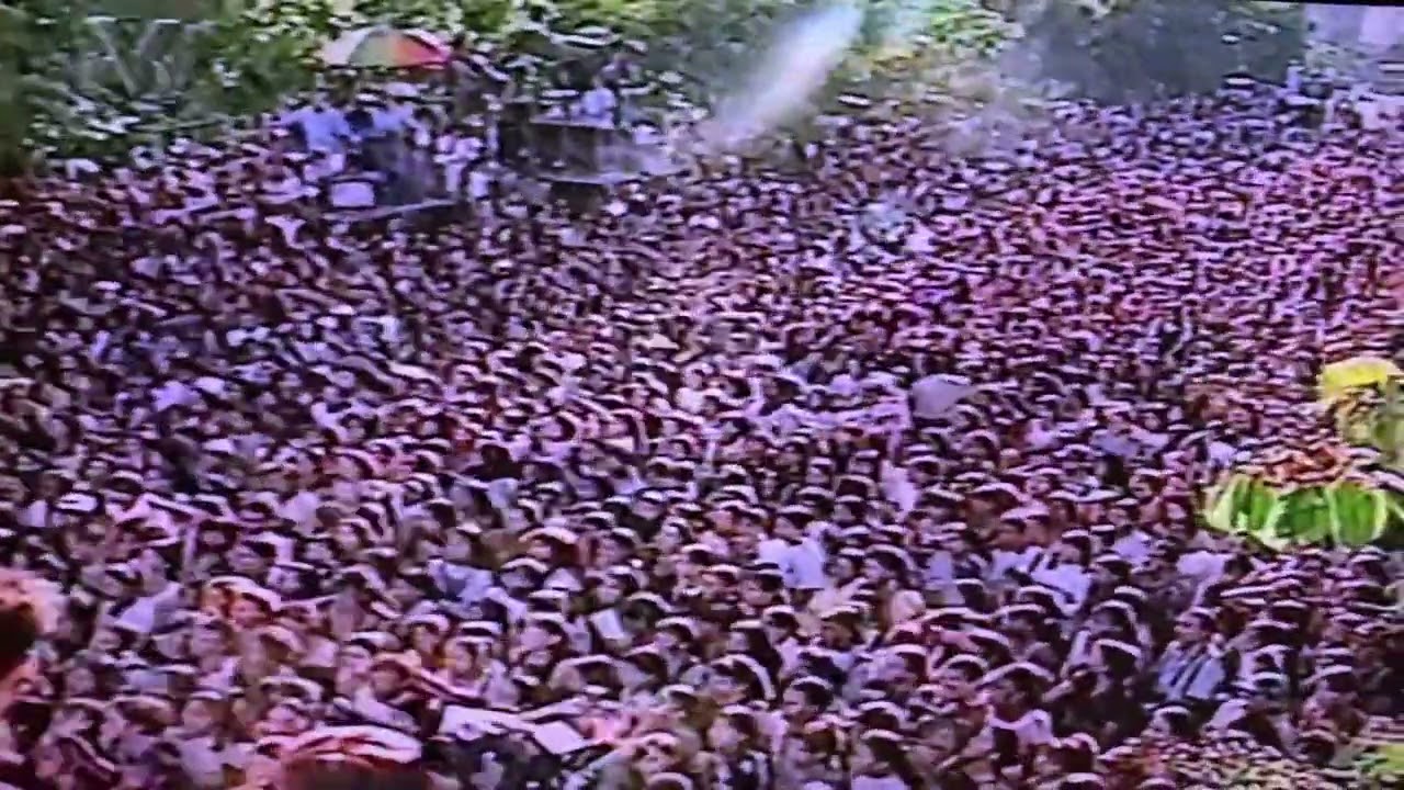 Salserin y el Club de los Tigritos - Una Rosa en la Playa