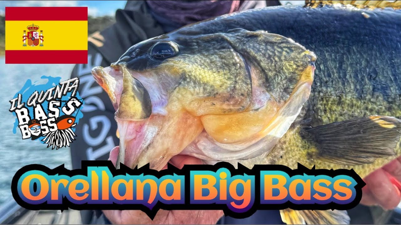 IN SPAGNA COL QUINTA - BASS FISHING a ORELLANA