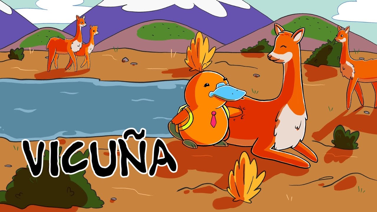 Hola Flinko - Vicuña / Capítulo 11 Completo Temporada 1