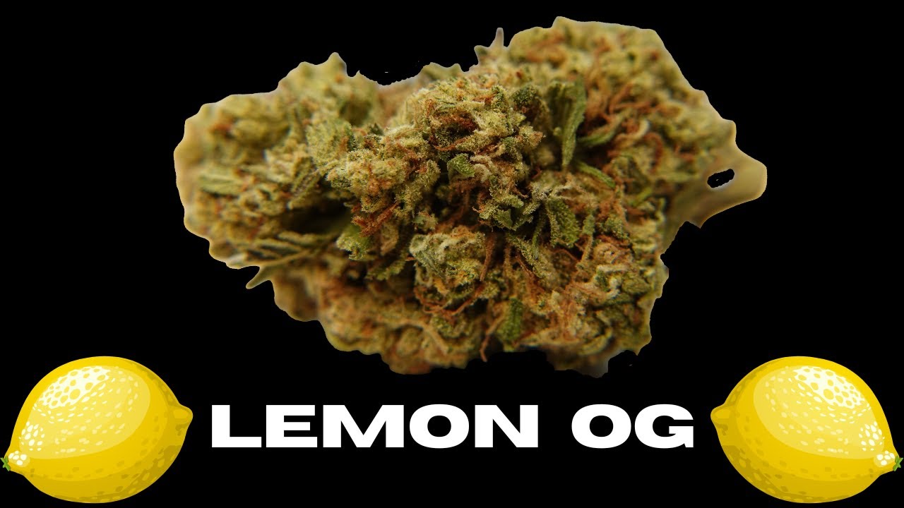 Lemon OG Strain Review