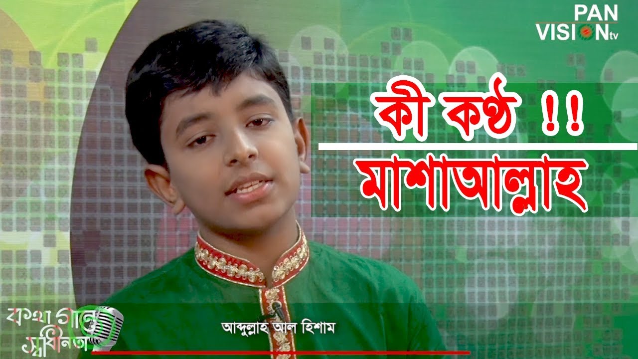 Ek Nodi Rokto Periye | এক নদী রক্ত পেরিয়ে | Abdullah Al Hisam | Bangla Song