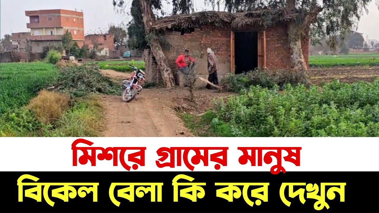 বিকেলবেলা মিশরের গ্রামের মানুষ কি করে