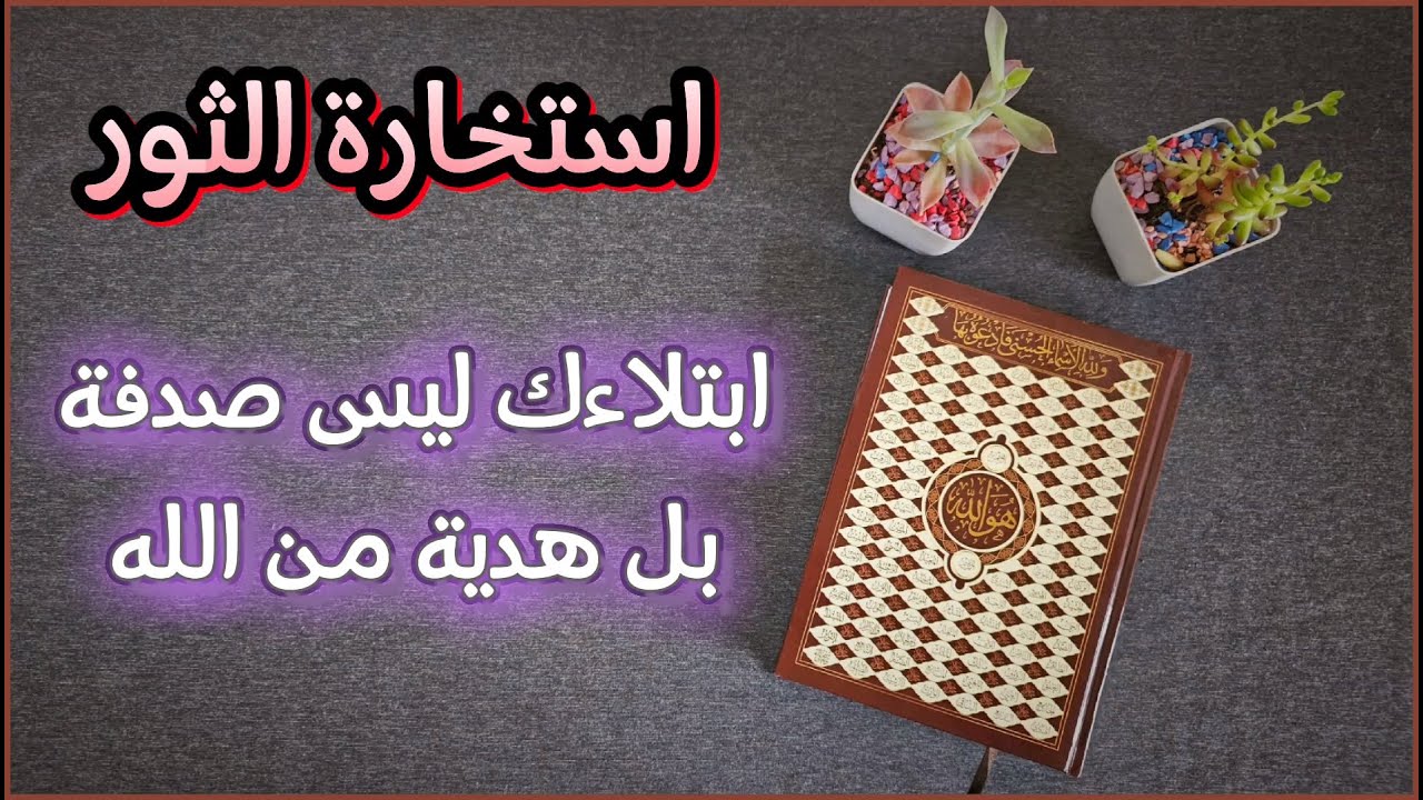استخارة عامّةوتفصيلية بالقرآن الكريم لمواليد برج الثور في جميع جوانب الحياة طاقة القراءة مفتوحة