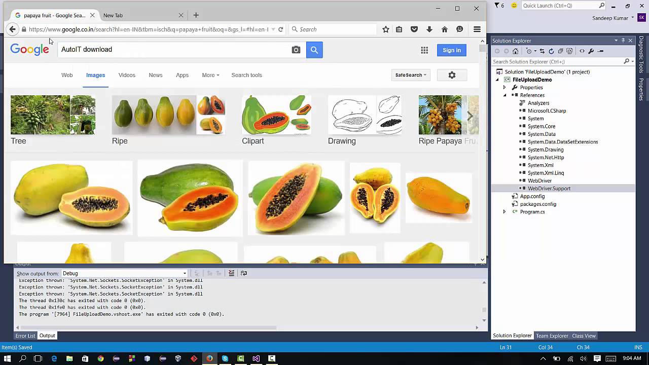 Загрузка файлов Selenium с использованием C# NET